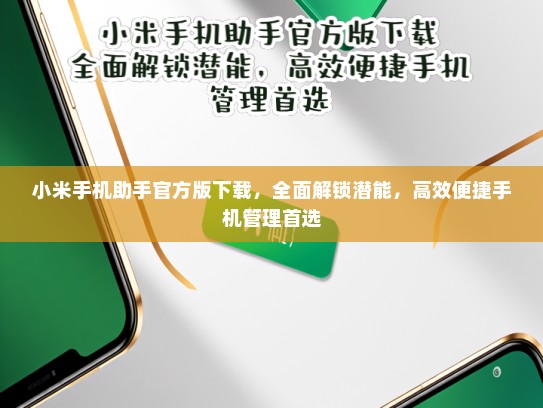 小米手机助手官方版下载，全面解锁潜能，高效便捷手机管理首选